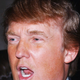 Illustration for article titled Another Woman Shares That Donald Trump Grabbed Her By the Pussy at Mar-a-Lago While He Was Dating Melania